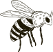 bee